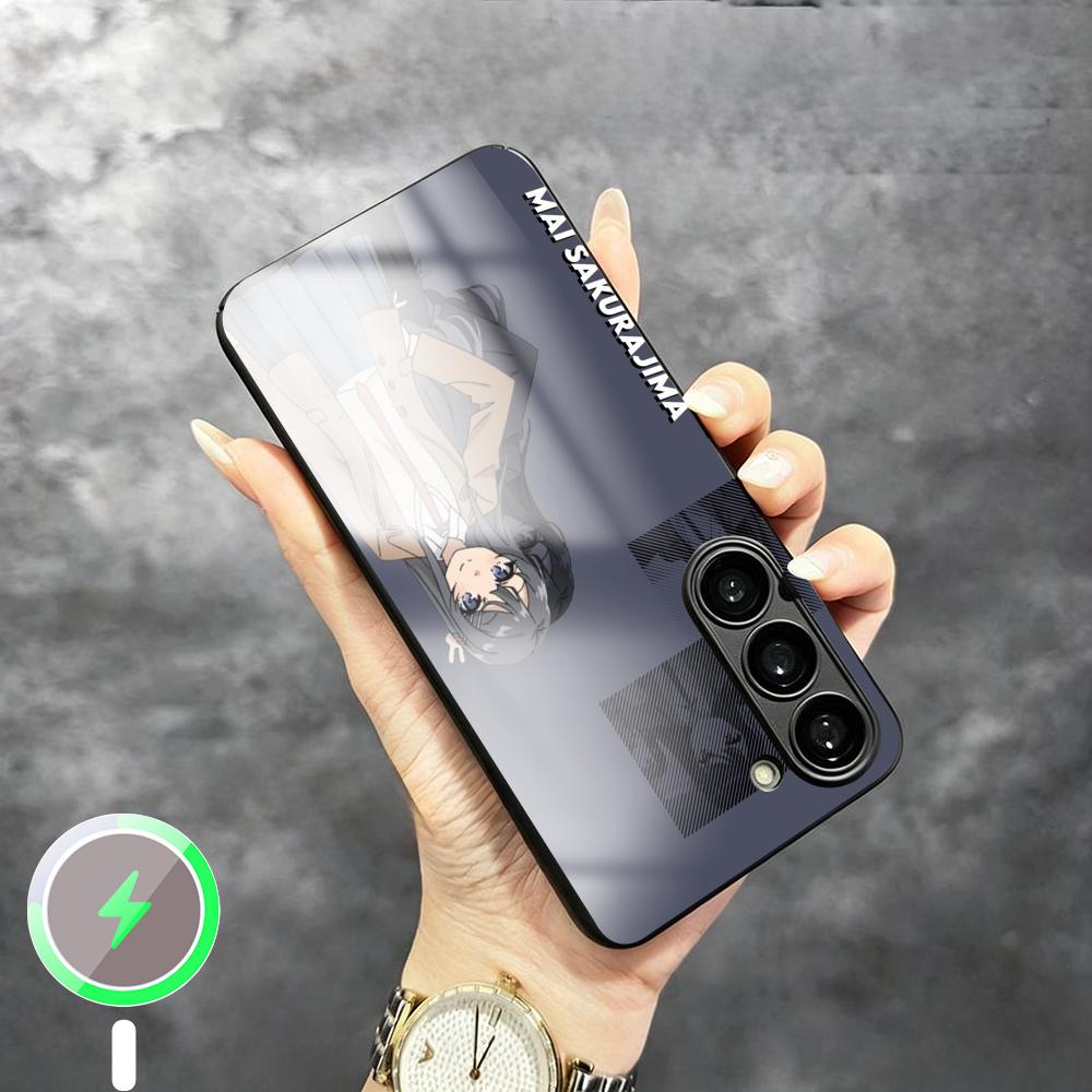 Phone Cases Samsung S25 - Coque de téléphone magnétique en verre